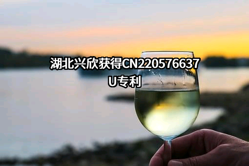 湖北兴欣科技股份有限公司