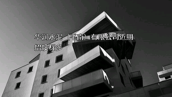 华润水泥（平南）有限公司