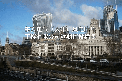 东方电气（天津）风电叶片工程有限公司