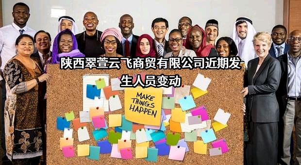 陕西翠萱云飞商贸有限公司