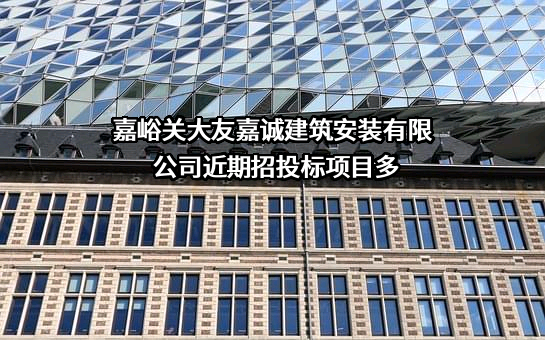 嘉峪关大友嘉诚建筑安装有限公司
