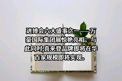 万豪国际集团有限公司
