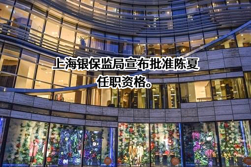 中宏人寿保险有限公司