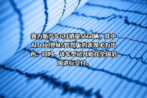 上海赛力斯汽车销售服务有限公司