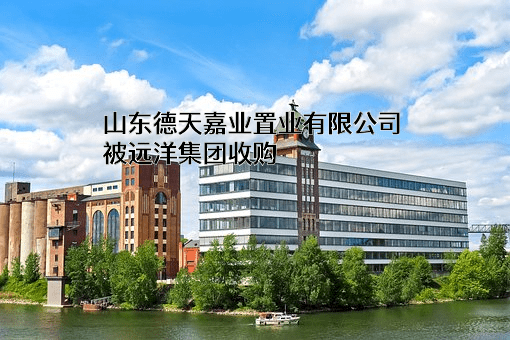 山东德天嘉业置业有限公司