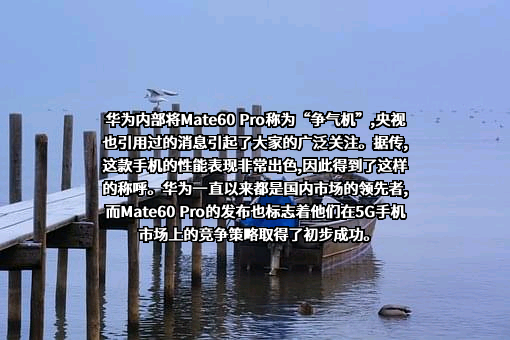 华为技术有限公司