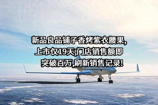 良品铺子股份有限公司