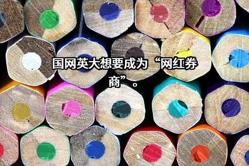 国网英大股份有限公司