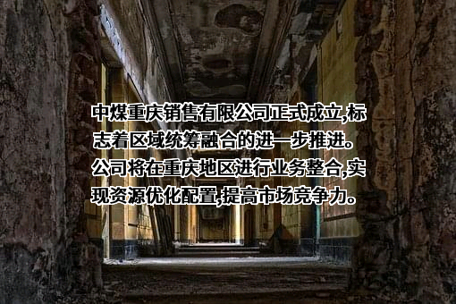 中煤重庆销售有限公司