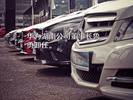 华为技术服务（湖南）有限公司