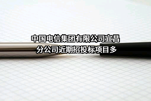 中国电信集团有限公司宜昌分公司