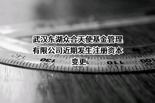 武汉东湖众合天使基金管理有限公司
