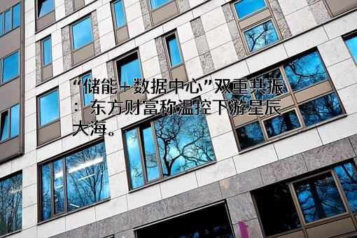 东方财富信息股份有限公司