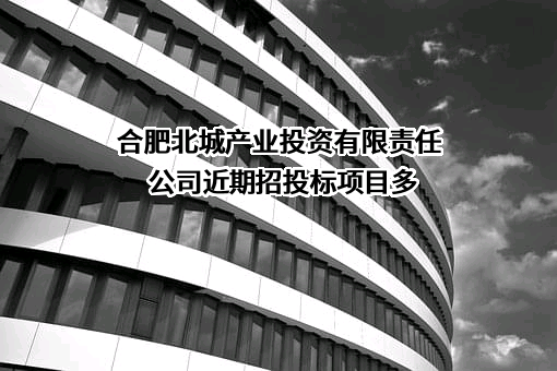 合肥北城产业投资有限责任公司