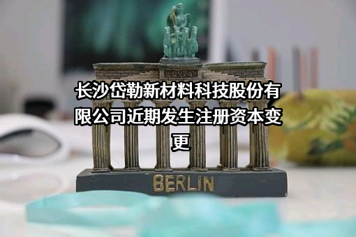 长沙岱勒新材料科技股份有限公司