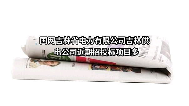 国网吉林省电力有限公司吉林供电公司近期招投标项目多