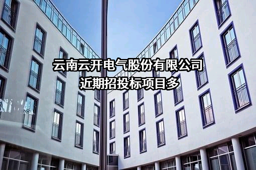 云南云开电气股份有限公司