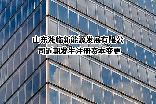 山东潍临新能源发展有限公司