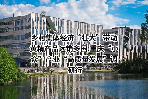 重庆华溪村黄精面业有限公司
