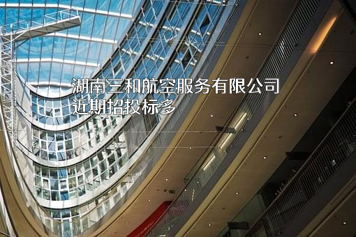 湖南三和航空服务有限公司