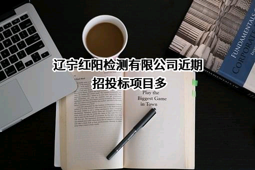 辽宁红阳检测有限公司