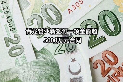 宁夏青龙管业集团股份有限公司