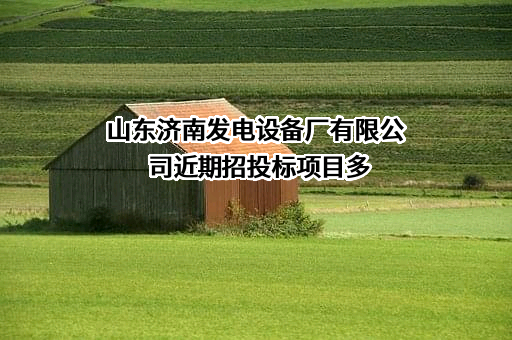 山东济南发电设备厂有限公司