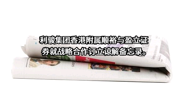 盈立数智科技（深圳）有限公司