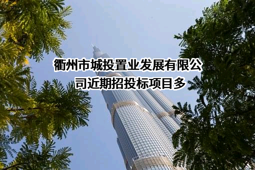 衢州市城投置业发展有限公司