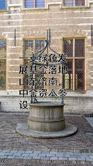 深圳市中金资本投资管理有限公司