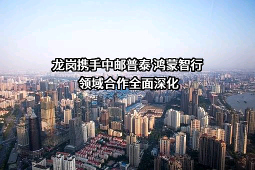 华为技术有限公司