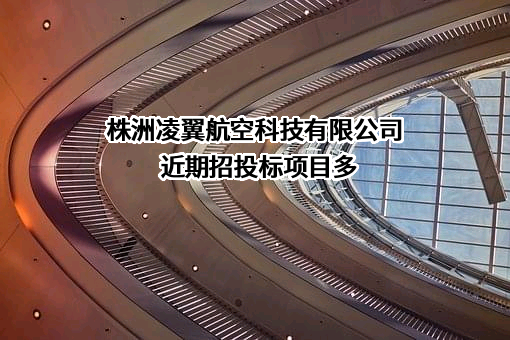 株洲凌翼航空科技有限公司近期招投标项目多