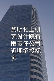 黎明化工研究设计院有限责任公司