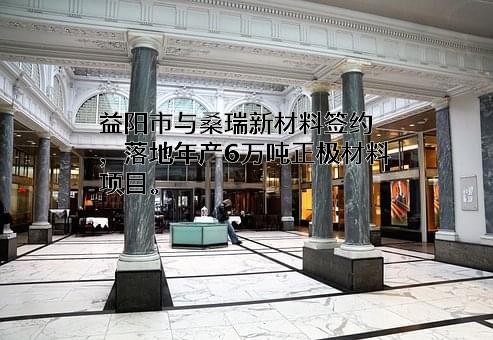 湖南桑瑞新材料有限公司