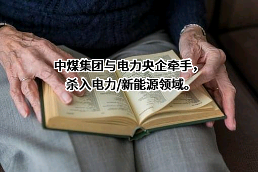 中煤电力有限公司