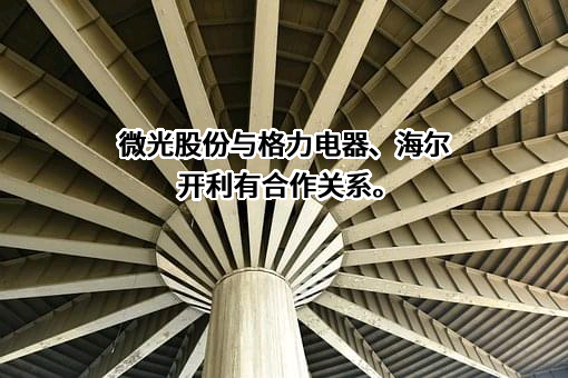 杭州微光电子股份有限公司