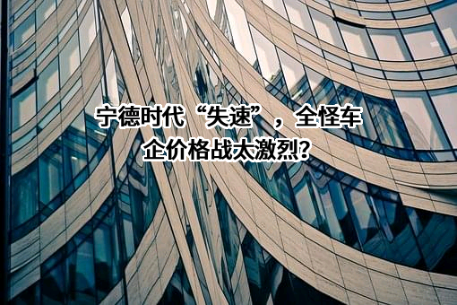宁德时代新能源科技股份有限公司