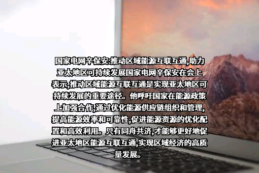 国家电网有限公司