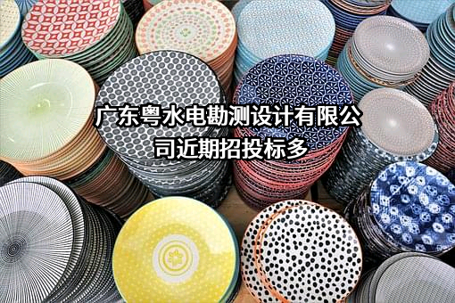 广东粤水电勘测设计有限公司
