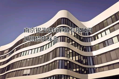 南京银茂铅锌矿业有限公司