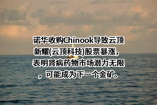 北京诺华制药有限公司