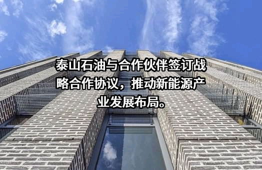 国网山东省电力公司泰安供电公司