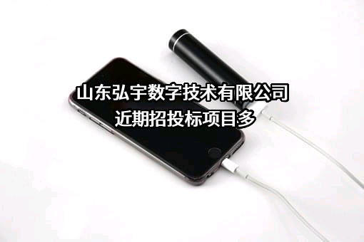山东弘宇数字技术有限公司