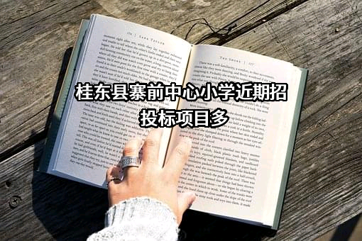 桂东县寨前中心小学近期招投标项目多