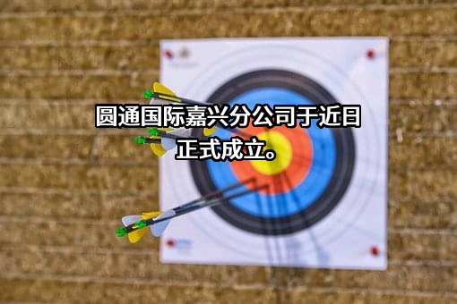 嘉兴市跨境电子商务服务有限公司
