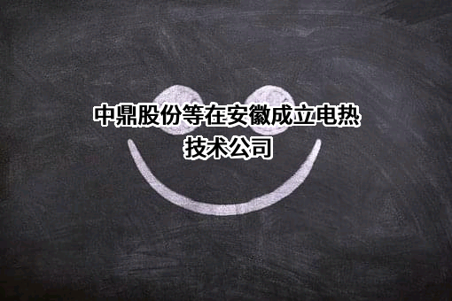 安徽中鼎密封件股份有限公司