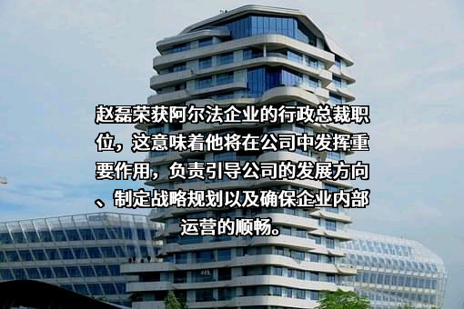 阿尔法企业控股有限公司