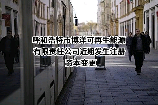 呼和浩特市博洋可再生能源有限责任公司