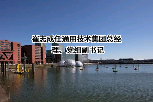通用技术高新材料集团有限公司
