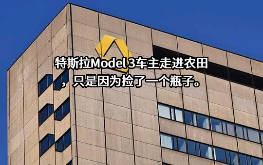 特斯拉（上海）有限公司